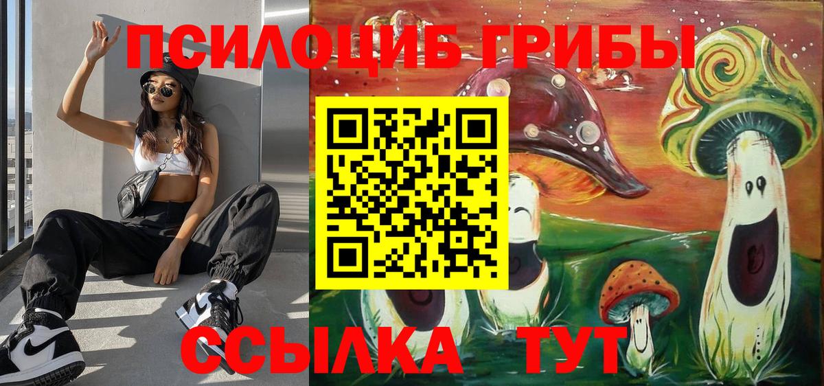 Псилоцибиновые грибы GOLDEN TEACHER Вятские Поляны